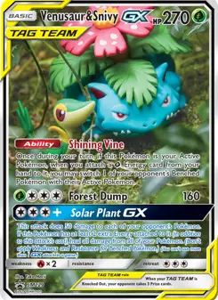 Venusaur e Snivy GX